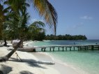 Half Moon Caye